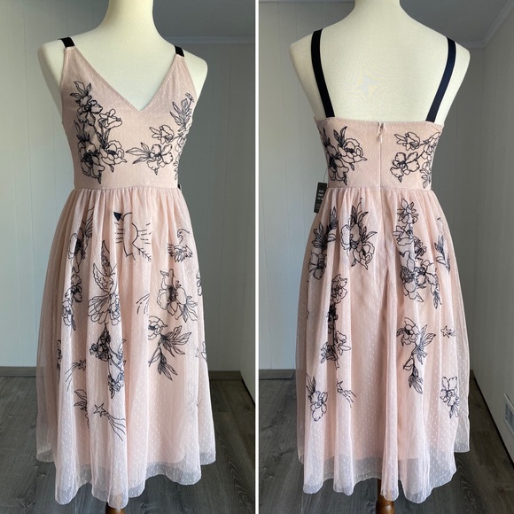 Express Dresses & Skirts - FLAWLESS Express Blush Tulle Dress Black Floral 4